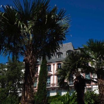 Palmen im Nizza am Main